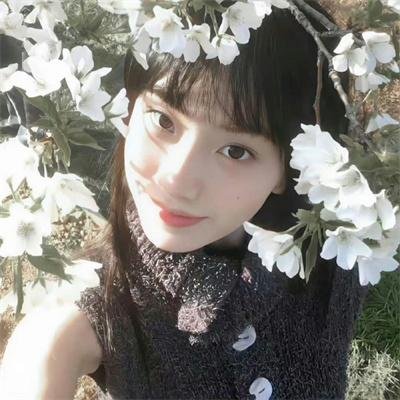 观鸟者